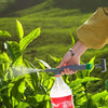 Fles Hogedrukspuit  | Altijd water geven zonder tuinslang